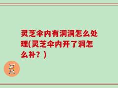 灵芝伞内有洞洞怎么处理(灵芝伞内开了洞怎么补？)