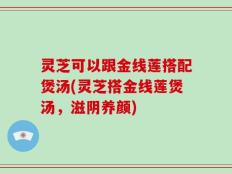 灵芝可以跟金线莲搭配煲汤(灵芝搭金线莲煲汤，滋阴养颜)