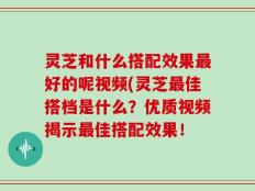 灵芝和什么搭配效果最好的呢视频(灵芝最佳搭档是什么？优质视频揭示最佳搭配效果！