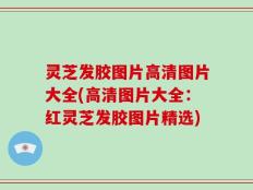 灵芝发胶图片高清图片大全(高清图片大全：红灵芝发胶图片精选)