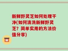 新鲜野灵芝如何处理干净(如何清洗新鲜野灵芝？简单实用的方法价值分享)