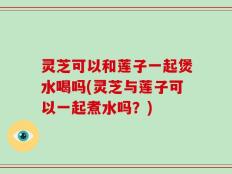 灵芝可以和莲子一起煲水喝吗(灵芝与莲子可以一起煮水吗？)
