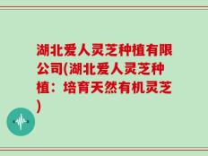 湖北爱人灵芝种植有限公司(湖北爱人灵芝种植：培育天然有机灵芝)