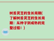 树舌灵芝的生长周期(了解树舌灵芝的生长周期：从种子到成熟的完整过程！)