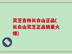 灵芝吉林长白山正品(长白山灵芝正品销量火爆)