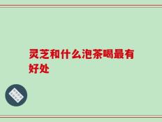 灵芝和什么泡茶喝最有好处