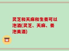 灵芝和天麻和生姜可以泡酒(灵芝、天麻、姜泡美酒)