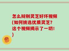怎么辩别灵芝好坏视频(如何挑选优质灵芝？这个视频揭示了一切！)