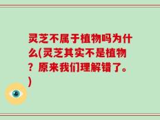 灵芝不属于植物吗为什么(灵芝其实不是植物？原来我们理解错了。)