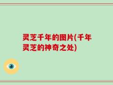 灵芝千年的图片(千年灵芝的神奇之处)