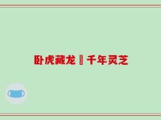 卧虎藏龙貳千年灵芝