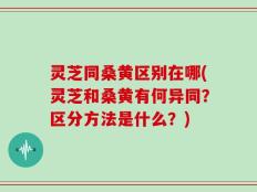 灵芝同桑黄区别在哪(灵芝和桑黄有何异同？区分方法是什么？)