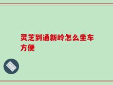 灵芝到通新岭怎么坐车方便