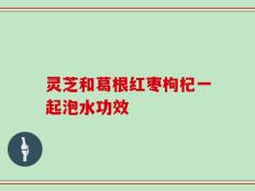 灵芝和葛根红枣枸杞一起泡水功效