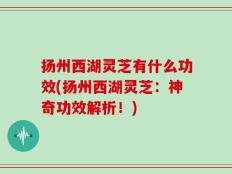 扬州西湖灵芝有什么功效(扬州西湖灵芝：神奇功效解析！)