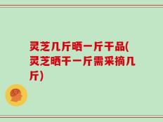 灵芝几斤晒一斤干品(灵芝晒干一斤需采摘几斤)