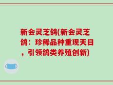 新会灵芝鸽(新会灵芝鸽：珍稀品种重现天日，引领鸽类养殖创新)