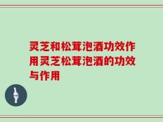 灵芝和松茸泡酒功效作用灵芝松茸泡酒的功效与作用