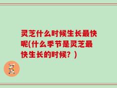 灵芝什么时候生长最快呢(什么季节是灵芝最快生长的时候？)