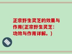 正宗野生灵芝的效果与作用(正宗野生灵芝：功效与作用详解。)