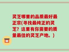 灵芝哪里的品质最好最正宗(寻找最纯正的灵芝？这里有你需要的质量最佳的灵芝产地。)