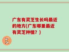 广东有灵芝生长吗最近的地方(广东哪里最近有灵芝种植？)