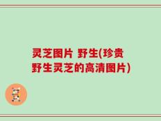 灵芝图片 野生(珍贵野生灵芝的高清图片)