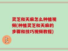 灵芝和天麻怎么种植视频(种植灵芝和天麻的步骤和技巧视频教程)