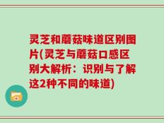 灵芝和蘑菇味道区别图片(灵芝与蘑菇口感区别大解析：识别与了解这2种不同的味道)