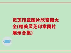 灵芝印章图片欣赏图大全(精美灵芝印章图片展示合集)