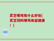 灵芝喂鸡有什么好处(灵芝饲料喂鸡有益健康！)