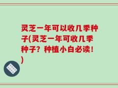 灵芝一年可以收几季种子(灵芝一年可收几季种子？种植小白必读！)