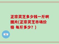 正宗灵芝多少钱一斤啊图片(正宗灵芝市场价格 每斤多少？)