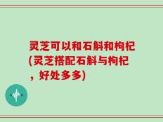 灵芝可以和石斛和枸杞(灵芝搭配石斛与枸杞，好处多多)