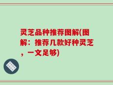 灵芝品种推荐图解(图解：推荐几款好种灵芝，一文足够)