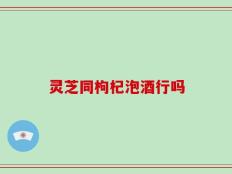 灵芝同枸杞泡酒行吗