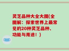 灵芝品种大全大图(全图解：探索世界上最常见的20种灵芝品种、功能与用途！)