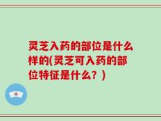 灵芝入药的部位是什么样的(灵芝可入药的部位特征是什么？)