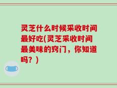 灵芝什么时候采收时间最好吃(灵芝采收时间最美味的窍门，你知道吗？)