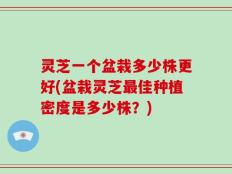 灵芝一个盆栽多少株更好(盆栽灵芝最佳种植密度是多少株？)