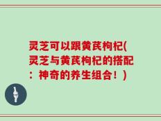 灵芝可以跟黄芪枸杞(灵芝与黄芪枸杞的搭配：神奇的养生组合！)