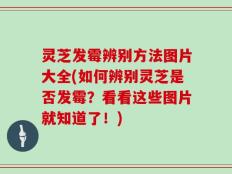 灵芝发霉辨别方法图片大全(如何辨别灵芝是否发霉？看看这些图片就知道了！)