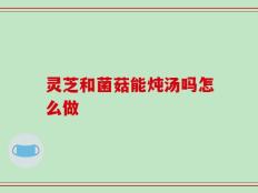 灵芝和菌菇能炖汤吗怎么做
