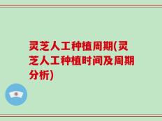 灵芝人工种植周期(灵芝人工种植时间及周期分析)