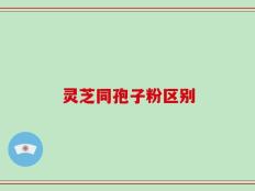 灵芝同孢子粉区别
