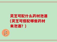 灵芝可配什么药材泡酒(灵芝可搭配哪些药材来泡酒？)