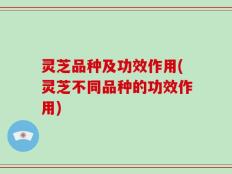 灵芝品种及功效作用(灵芝不同品种的功效作用)