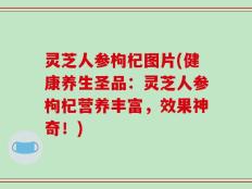 灵芝人参枸杞图片(健康养生圣品：灵芝人参枸杞营养丰富，效果神奇！)