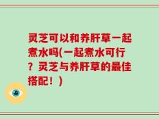 灵芝可以和养肝草一起煮水吗(一起煮水可行？灵芝与养肝草的最佳搭配！)
