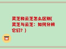 灵芝和云芝怎么区别(灵芝与云芝：如何分辨它们？)